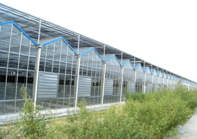 連棟玻璃溫室為何備受青睞 探析其材料選擇與配套設(shè)施設(shè)計(jì)的優(yōu)勢(shì)