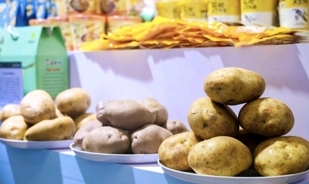 寧夏固原特色農文旅亮相深圳 食品集中加工受矚目
