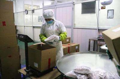桂林平樂 | 新年新氣象，平樂縣工業集中區熱火朝天 食品集中加工譜寫新篇