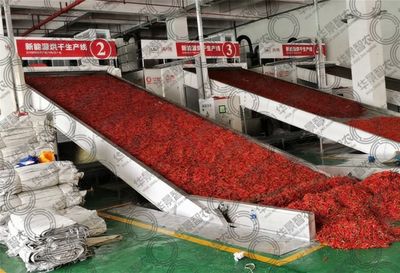 四川華景智農 定制專屬于您的農產品烘干設備，賦能食品集中加工新紀元