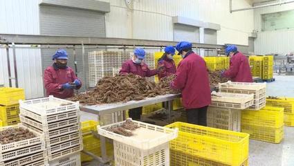 隴西:復工復產春意濃